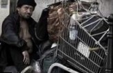 Зима в Израиле: бедные отказываются от отопительных приборов и просят одеяла