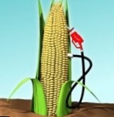 ООН против биотоплива